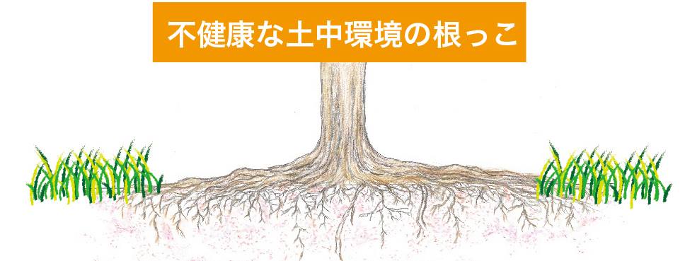 不健康な土中環境