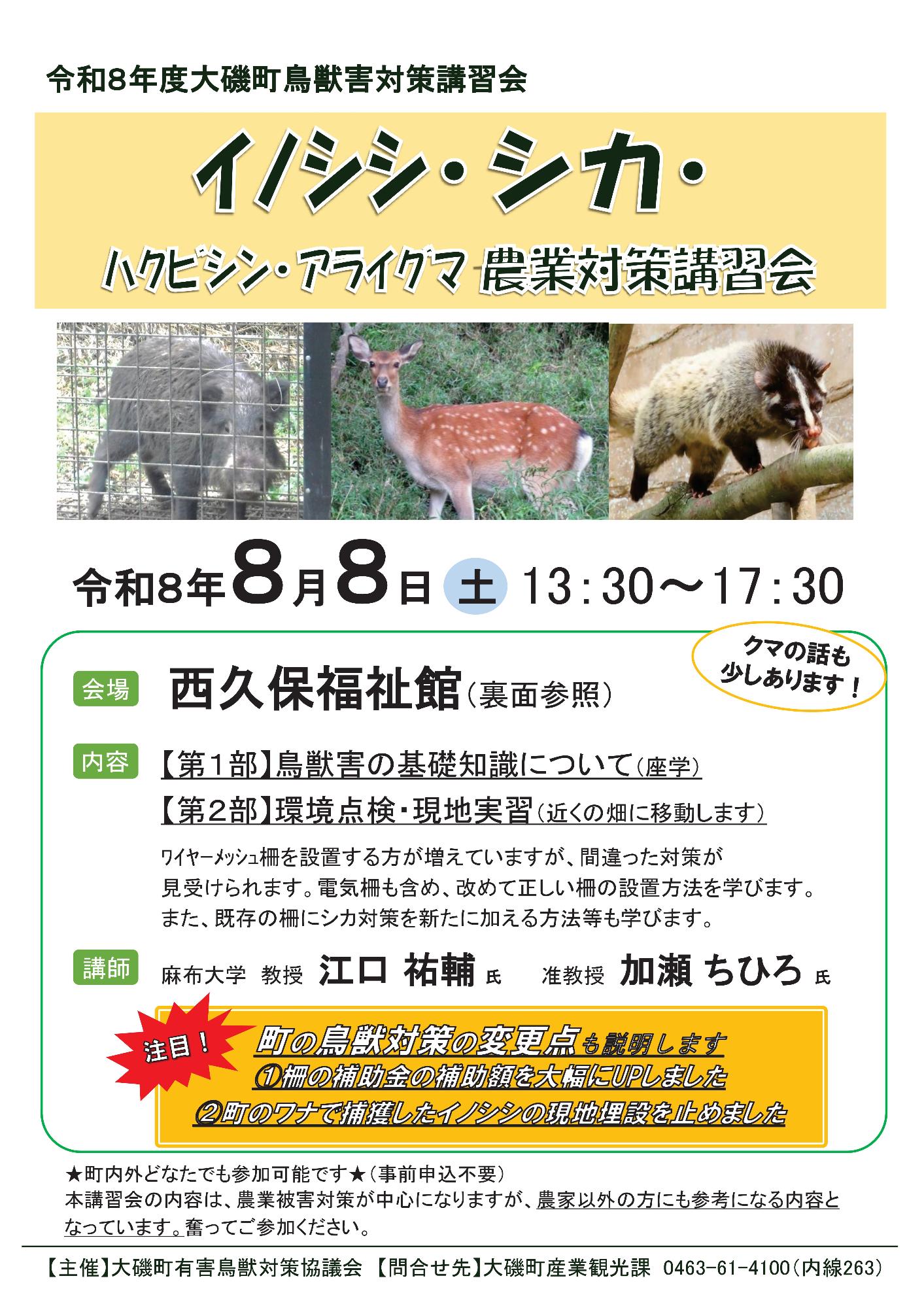 チラシ表