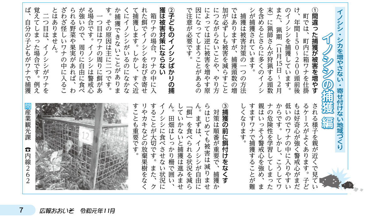 イノシシの捕獲(広報おおいそ令和元年11月号より抜粋)