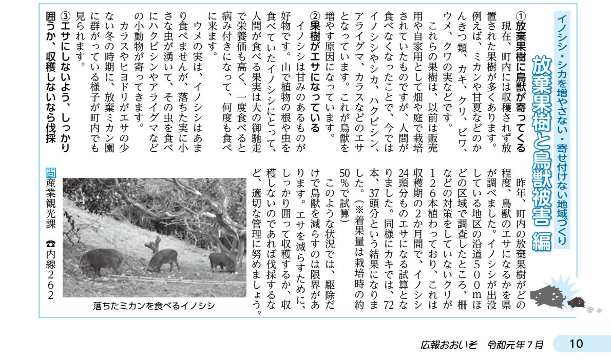 放棄果樹と鳥獣被害(広報おおいそ令和元年7月号抜粋)