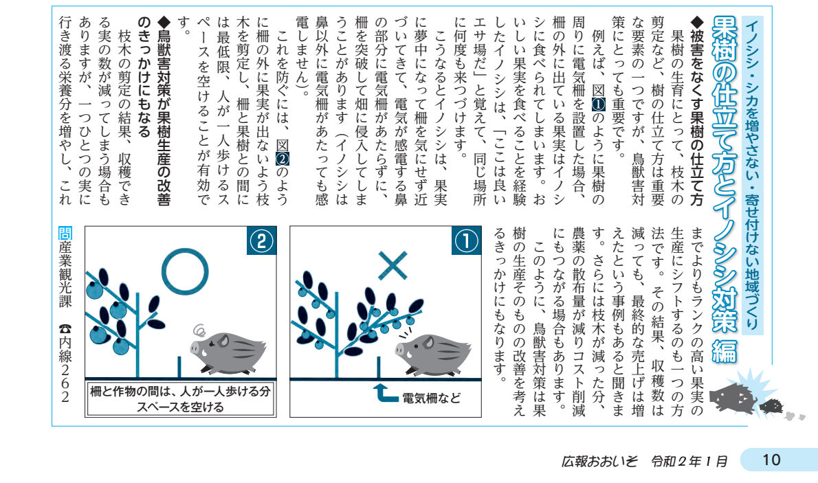果樹の仕立て方とイノシシ対策(広報おおいそ令和2年1月号より抜粋)