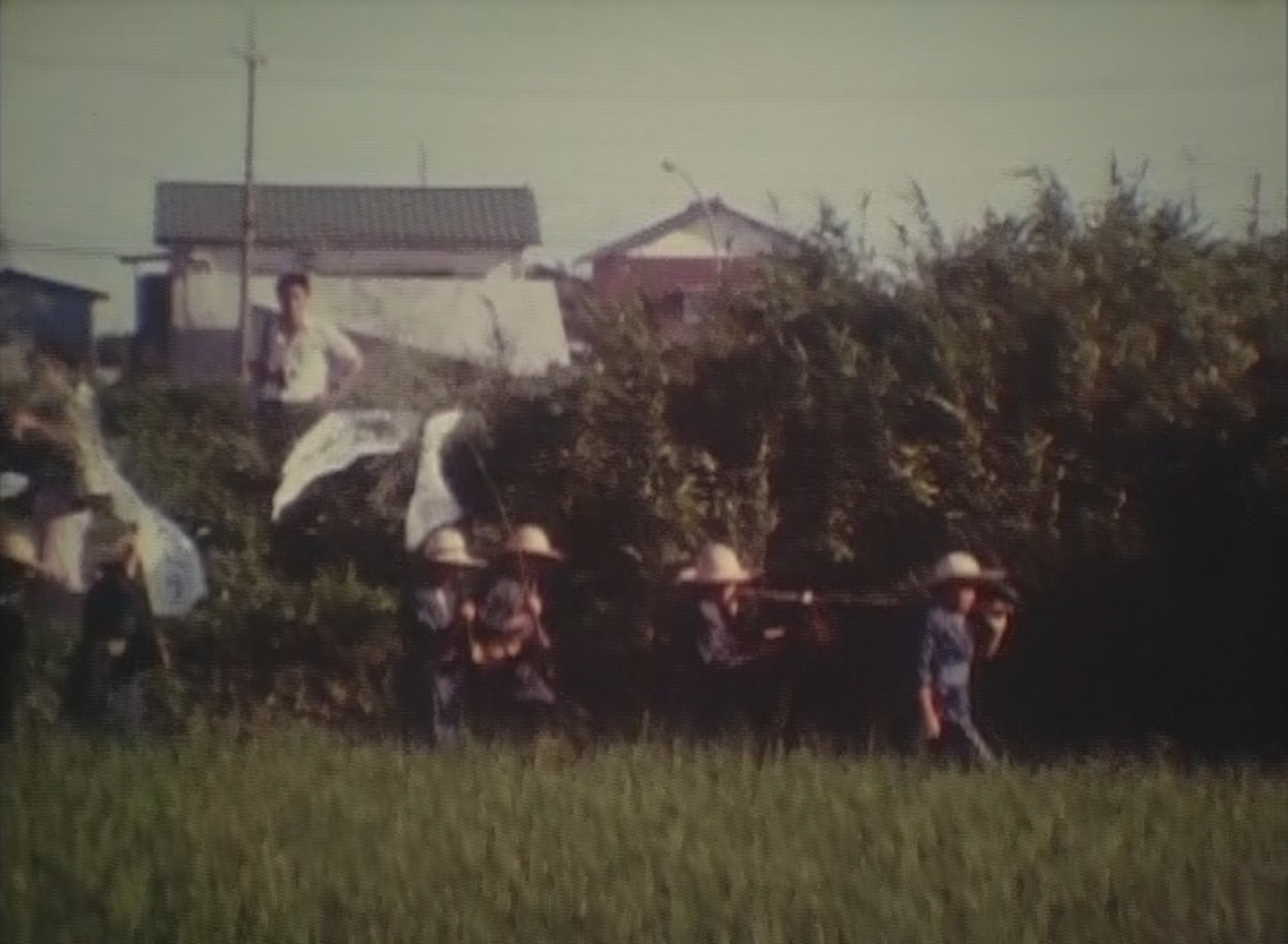 高麗の虫送り(1978年撮影)