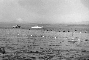 昭和39年4月大磯ブリ網01