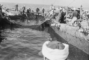 昭和39年4月大磯ブリ網03