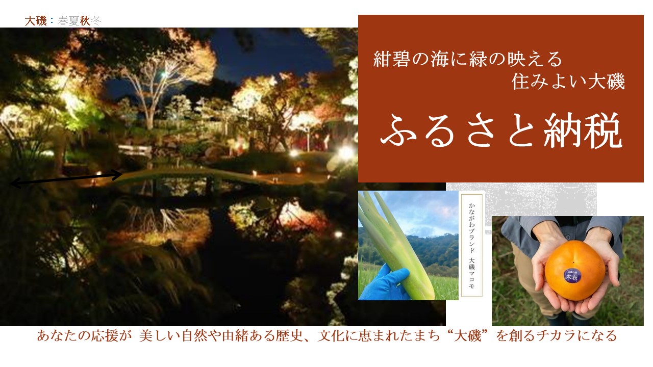 ふるさと納税(秋)