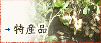 特産品