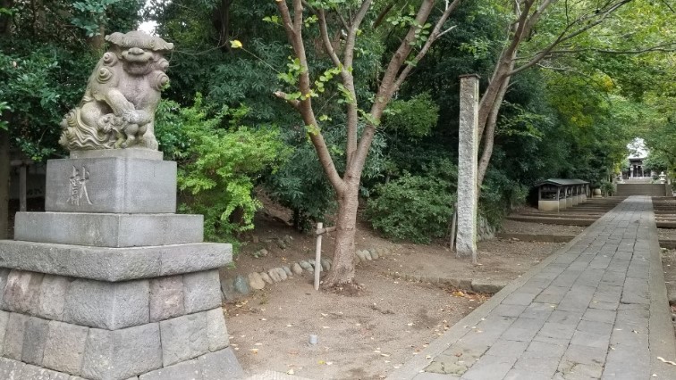 高来神社写真