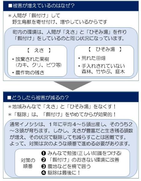 被害の原因と対策の手順