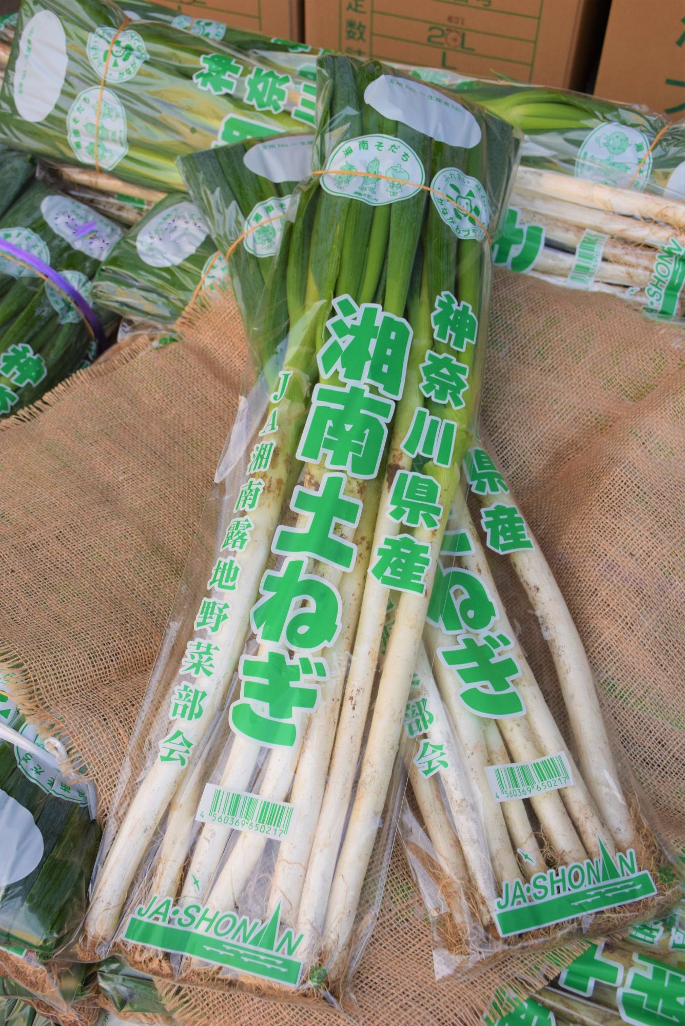 ねぎ