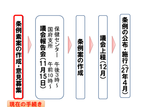 今後のスケジュール