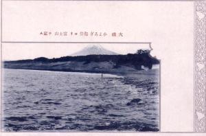 354