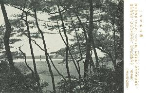 200-855