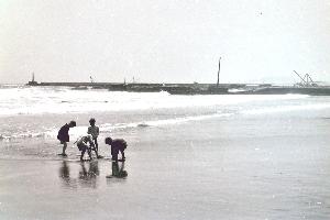 昭和29年4月春の大磯海岸N10317