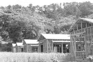 昭和29年6月第2次町営住宅上棟式N10401
