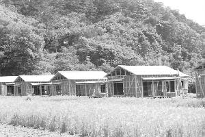 昭和29年6月第2次町営住宅上棟式N10402