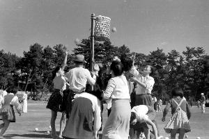 昭和29年9月町民運動会N10535