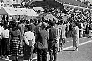 昭和29年9月町民運動会N10537