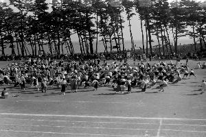 昭和29年9月町民運動会N10608