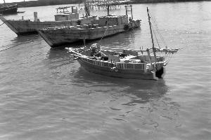 昭和30年5月5月の海N10709