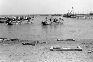 昭和30年5月5月の海N10710