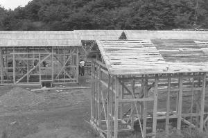 昭和30年6月第３次町営住宅N10836