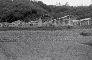 昭和30年6月第３次町営住宅N10906