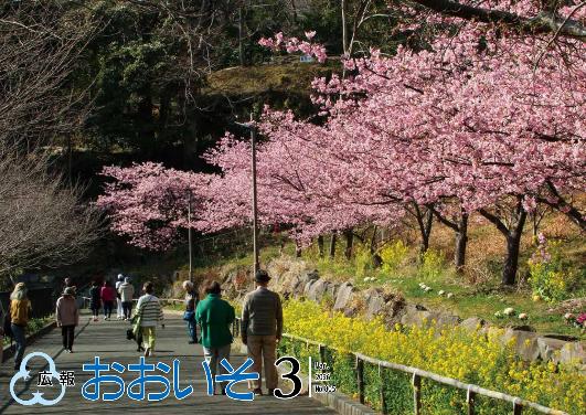 広報おおいそ805号表紙